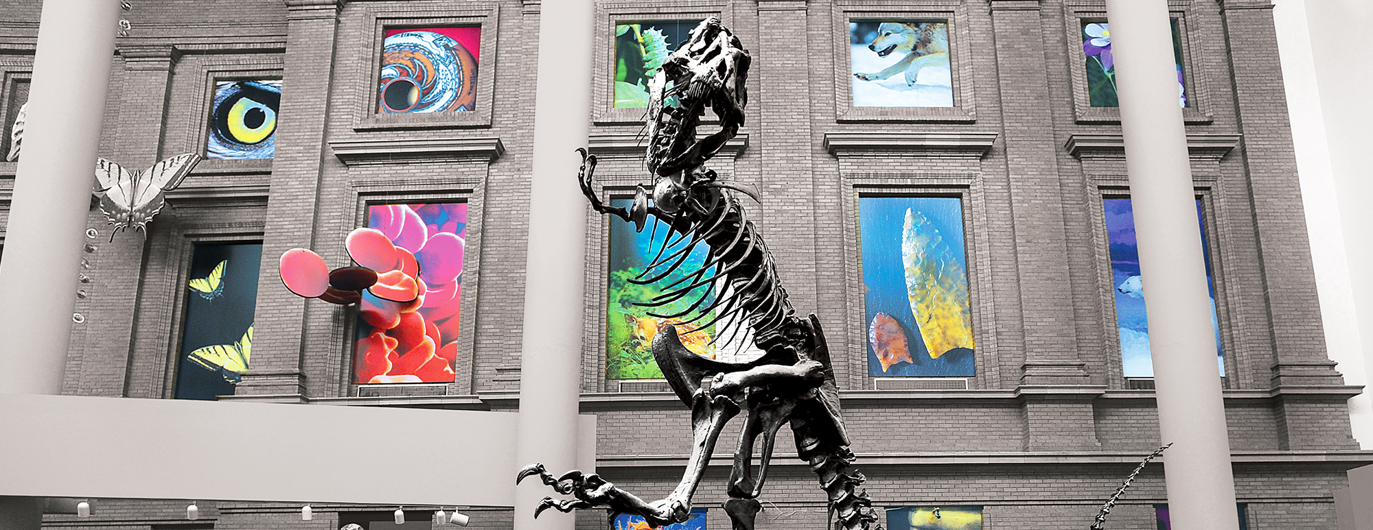 Don’t just visit a museum, live it. Digital Signage at the Denver