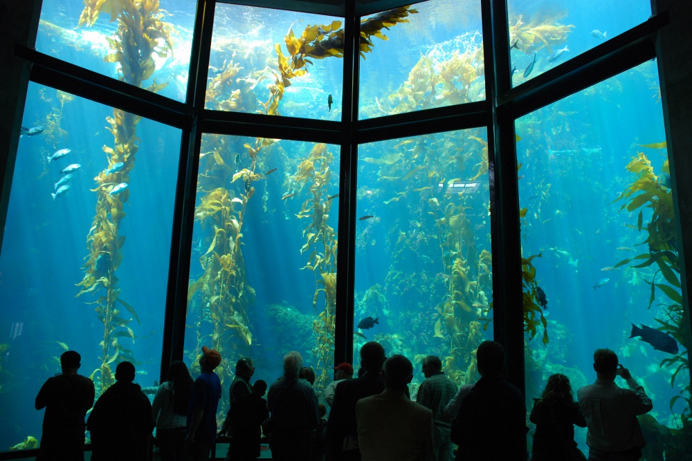 Monterey-bay-aquarium-bechtel-family-center-ocean-education-leadership