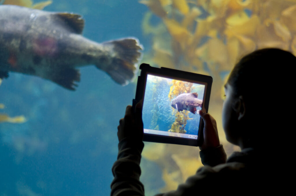 Monterey-bay-aquarium-bechtel-family-center-ocean-education-leadership