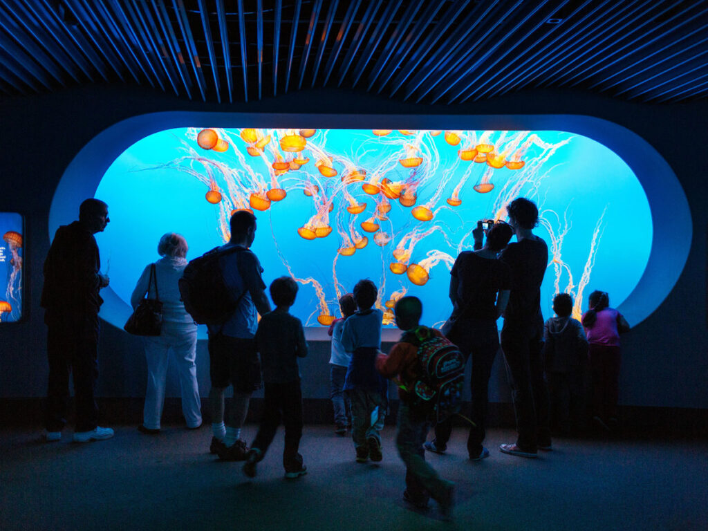 Monterey-bay-aquarium-bechtel-family-center-ocean-education-leadership