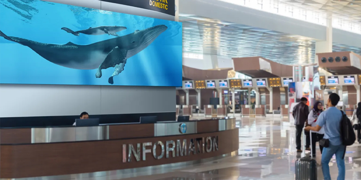 Digital Signage at Airport Information Desk