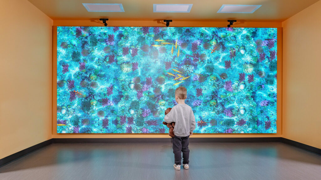 Display video wall for clinics