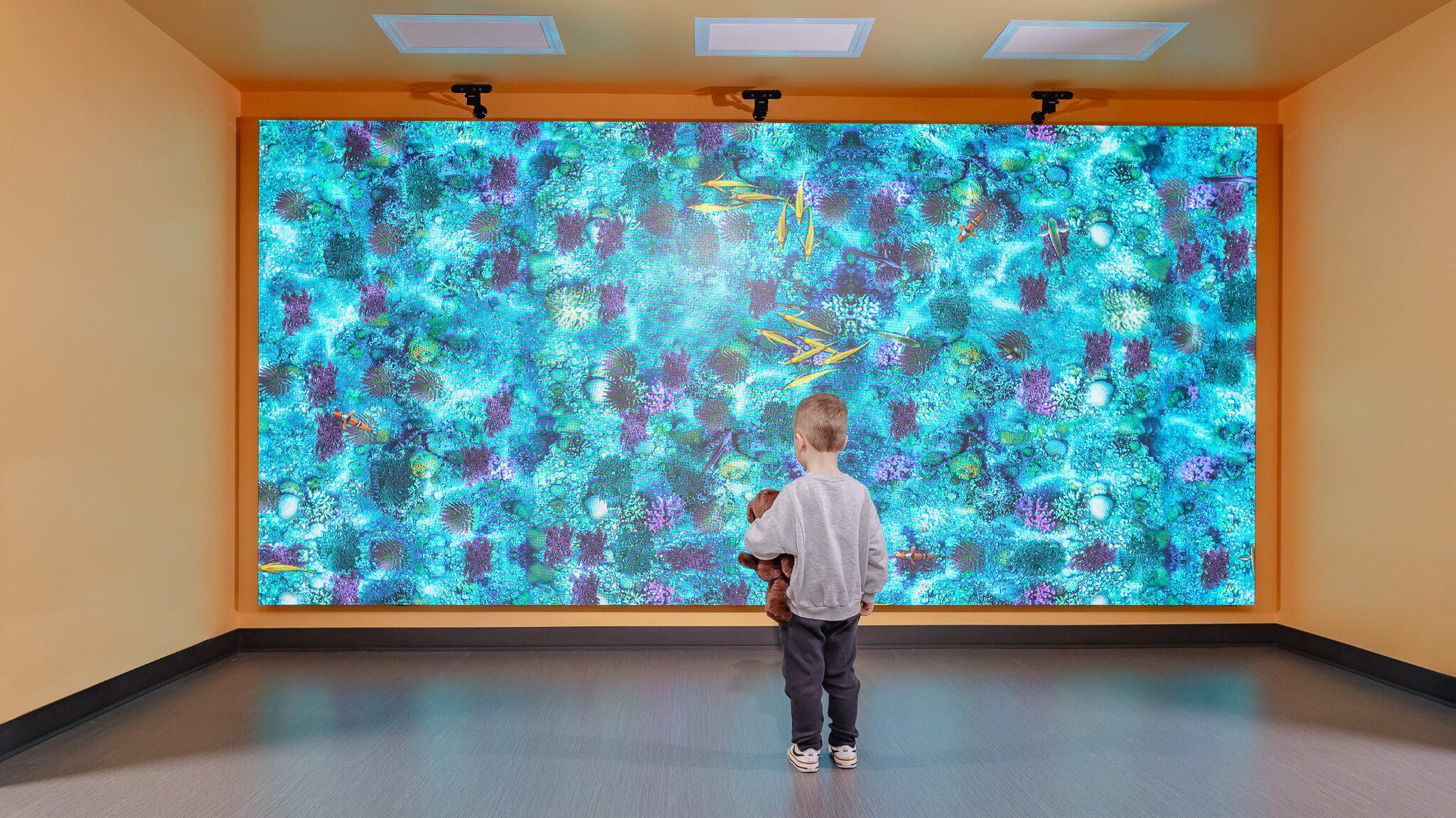 Display video wall for clinics