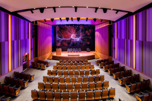 New York University Langone